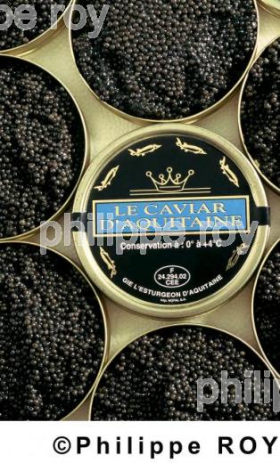 Caviar (00A00931.jpg)