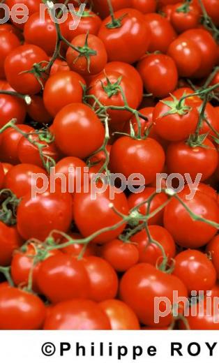 Tomates (00A01207.jpg)