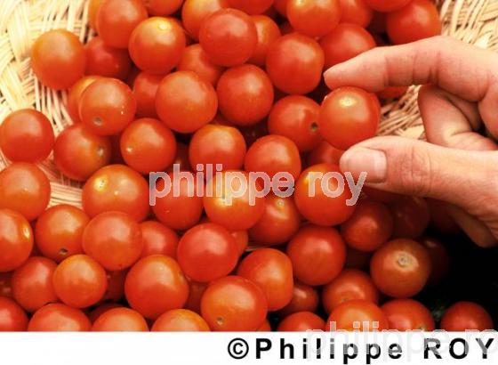 Tomates (00A01210.jpg)