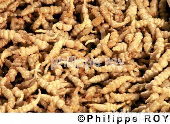 Crosnes (00A01309.jpg)