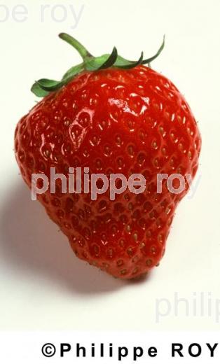 Fraise (00A01440.jpg)