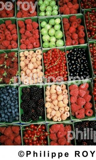 Fruits rouges (00A01511.jpg)