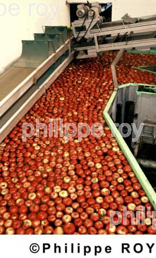 Pommes (00A01535.jpg)