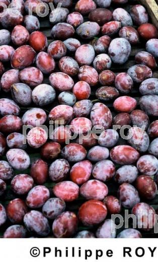 Prunes (00A01637.jpg)
