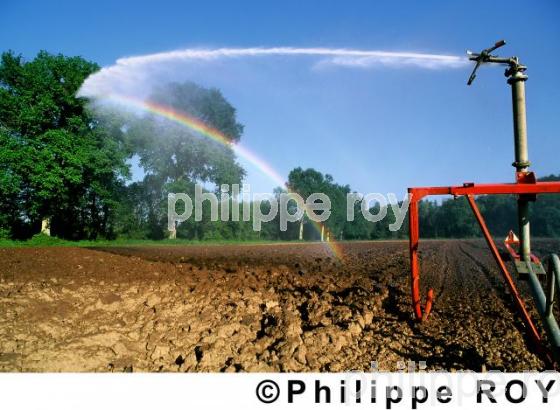 Irrigation (00A01808.jpg)