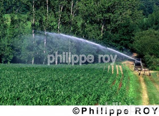 Irrigation (00A01810.jpg)