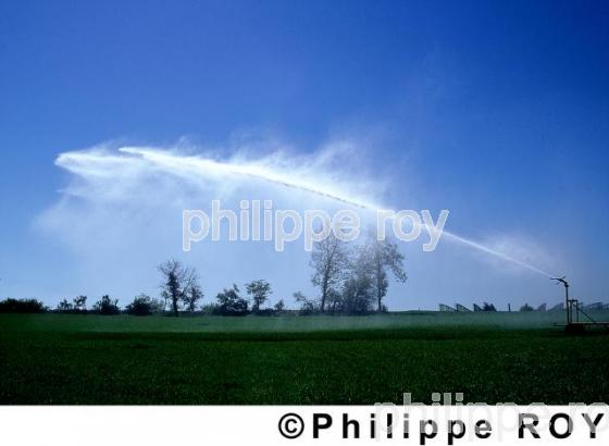 Irrigation (00A01822.jpg)