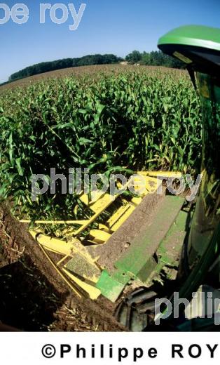 Mas ensilage (00A02004.jpg)