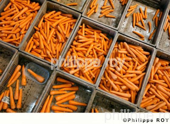 Carrottes (00A03201.jpg)
