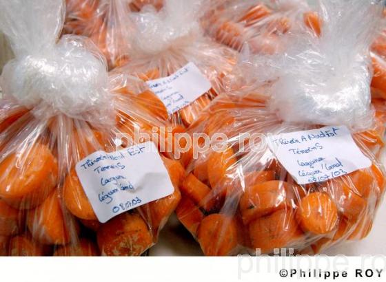 Carrottes (00A03202.jpg)