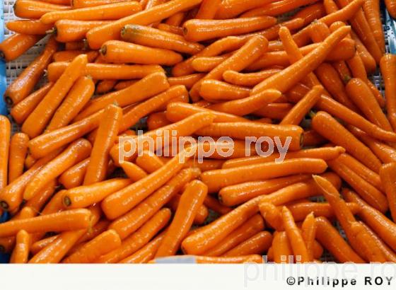 Carrottes (00A03323.jpg)