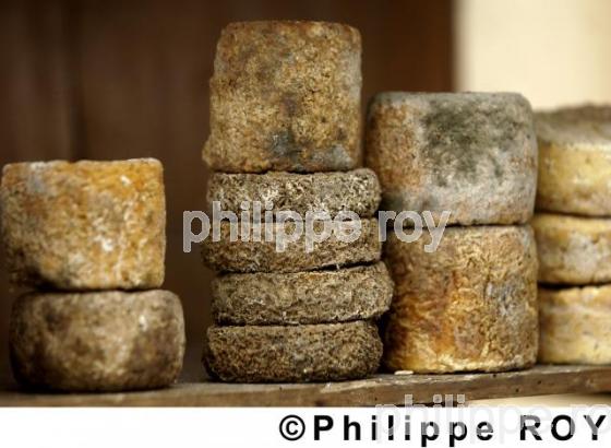 Fromages (00A03527.jpg)