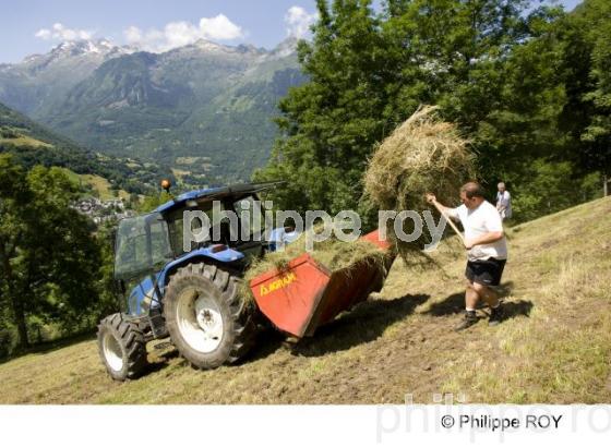 Agriculture de montagne (00A04304.jpg)