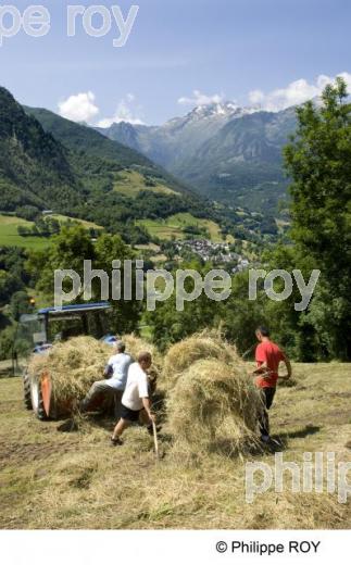 Agriculture de montagne (00A04307.jpg)
