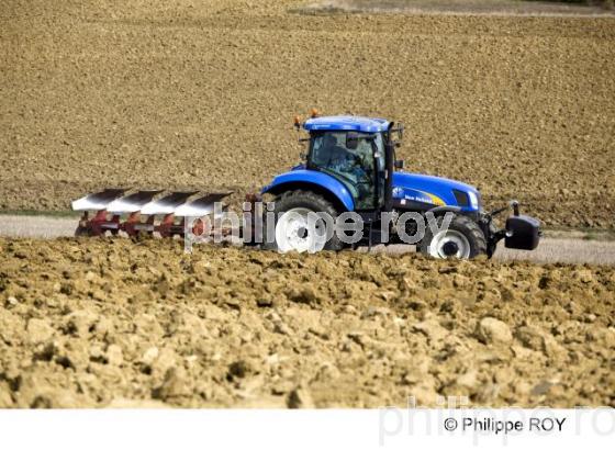 Agriculture - Haute Garonne (00A04922.jpg)