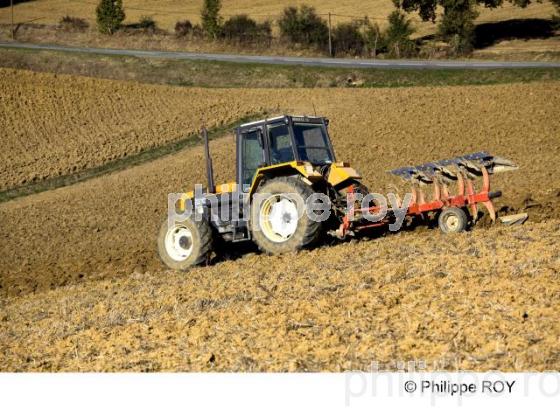Agriculture - Haute Garonne (00A04923.jpg)