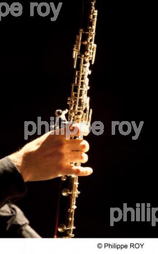 Concert - Les Fous de Jacquet (00C02134.jpg)