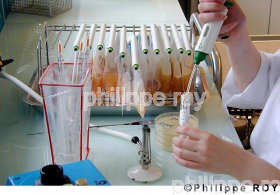Laboratoire d'analyse (00E00404.jpg)