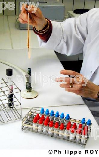 Laboratoire d'analyse (00E00417.jpg)