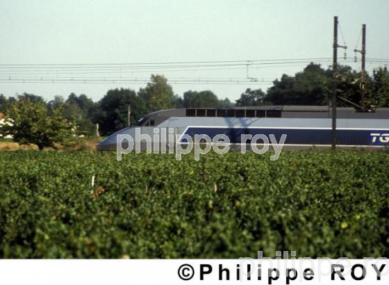 Le transport ferroviaire (00E01438.jpg)