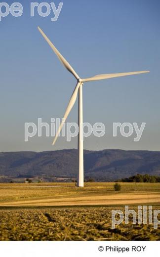 Eolienne - Economie (00E03630.jpg)