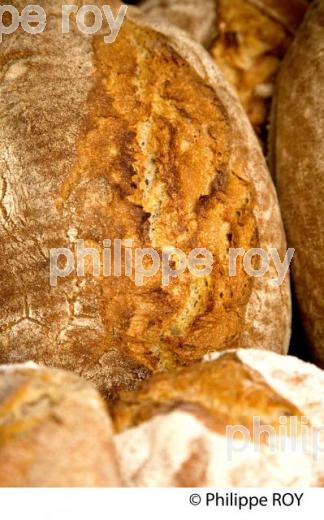 CUISSON PAIN DE CAMPAGNE (00E03930.jpg)