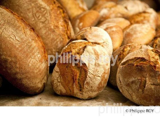 CUISSON PAIN DE CAMPAGNE (00E03936.jpg)
