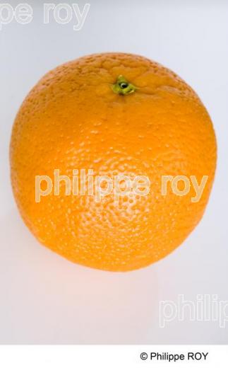 Orange (00G01236.jpg)