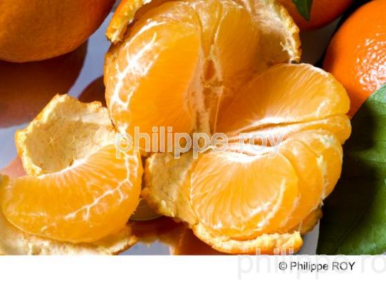 Mandarines (00G01330.jpg)