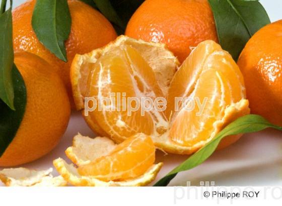 Mandarines (00G01333.jpg)