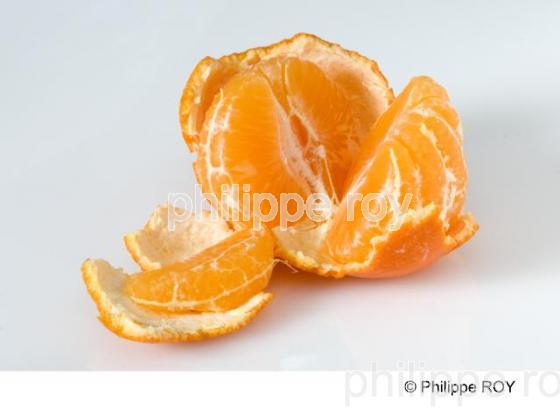 Mandarines (00G01334.jpg)