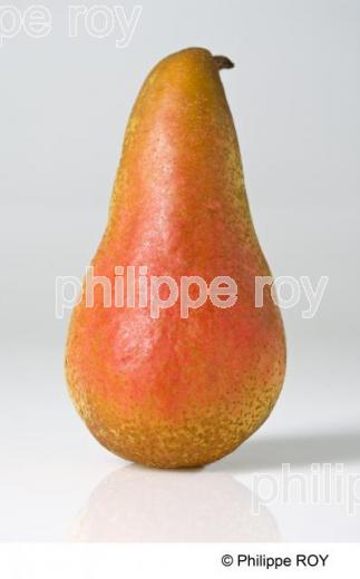 Poire (00G01440.jpg)