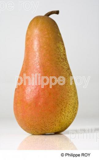 Poire (00G01502.jpg)
