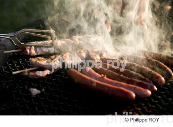 Grillade - Gastronomie (00G01624.jpg)
