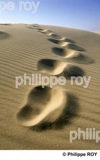 Le sable (00N00112.jpg)