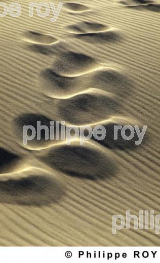 Le sable (00N00134.jpg)