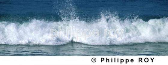 Vagues (00N01418.jpg)
