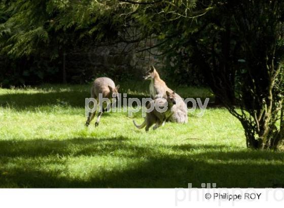 Parc animalier (00N01815.jpg)