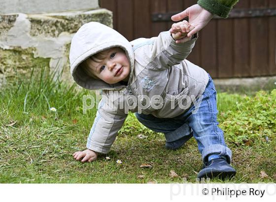 PETIT GARCON DE UN AN FAISANT SES PREMIERS PAS DANS LE JARDIN (00P02511.jpg)