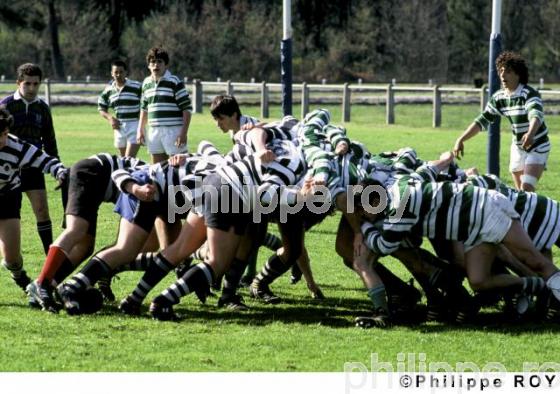 Rugby (00S00719.jpg)