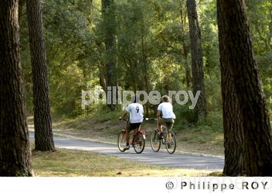 Cyclistes (00S02137.jpg)