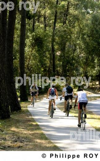 Cyclistes (00S02138.jpg)