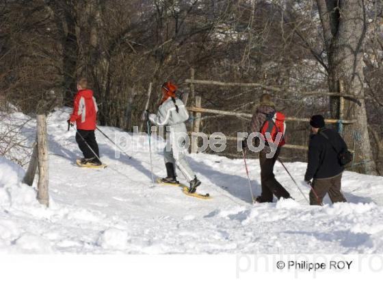 Sport d'hiver (00S02832.jpg)
