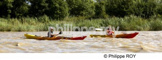 Kayak - Gironde (00S04219.jpg)