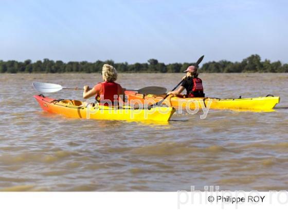 Kayak - Gironde (00S04220.jpg)