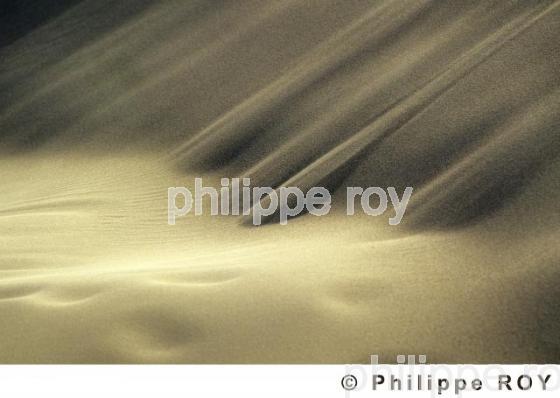 Le sable (00n00135.jpg)