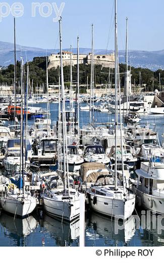 LE PORT D'  ANTIBES, ANTIBES-JUAN -LES-PINS, COTE D' AZUR. (06F00106.jpg)