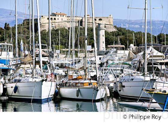 LE PORT D'  ANTIBES, ANTIBES-JUAN -LES-PINS, COTE D' AZUR. (06F00108.jpg)