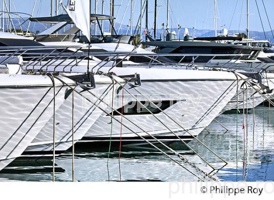 LE PORT D'  ANTIBES, ANTIBES-JUAN -LES-PINS, COTE D' AZUR. (06F00115.jpg)