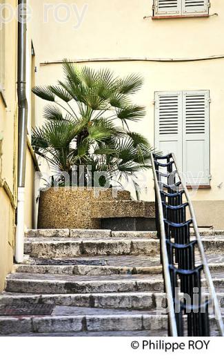 QUARTIER DU VIEIL ANTIBES, ANTIBES-JUAN -LES-PINS, COTE D' AZUR. (06F00238.jpg)